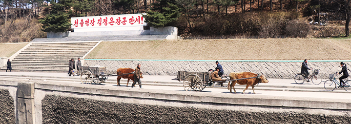 Estrada na Coreia do Norte - Blog INVICTUS